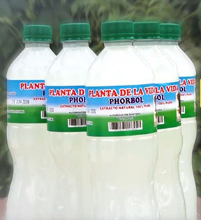 PLANTA DE LA VIDA 2020